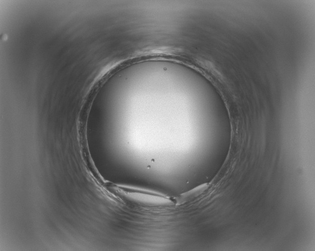 X0000064721404200602241621