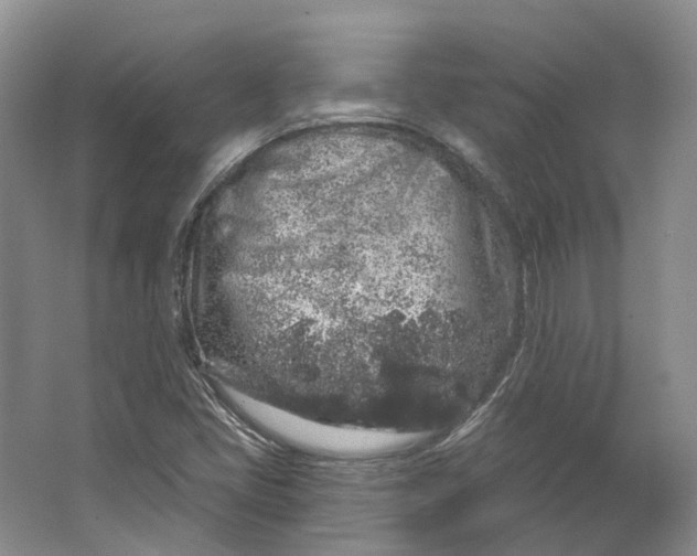 X0000064721405200602241621