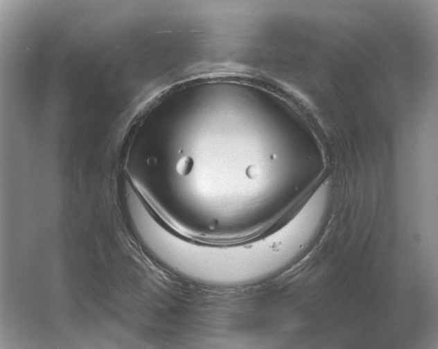 X0000064721407200602241621