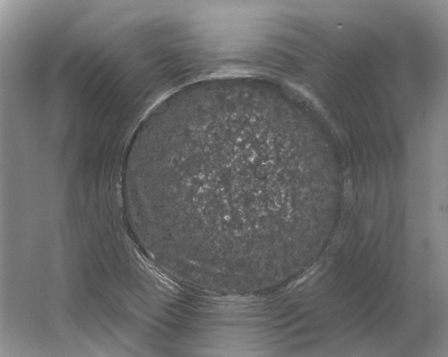 X0000064721409200602241621