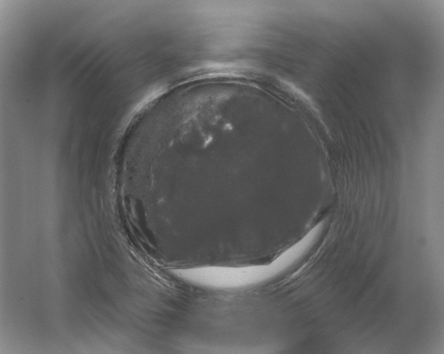 X0000064721411200602241621