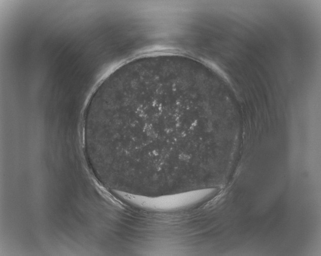 X0000064721413200602241621