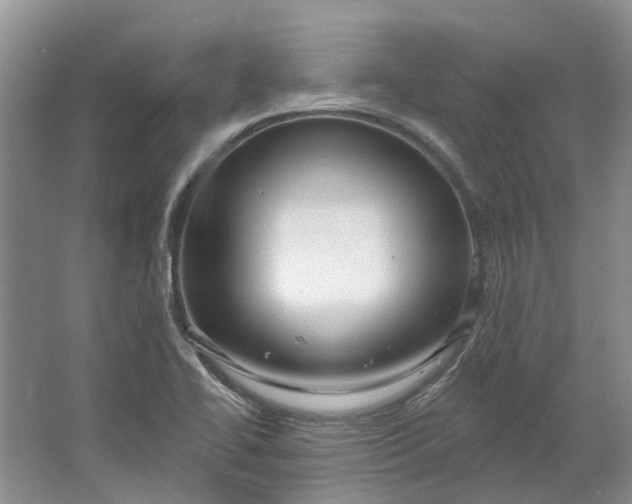 X0000064721414200602241621