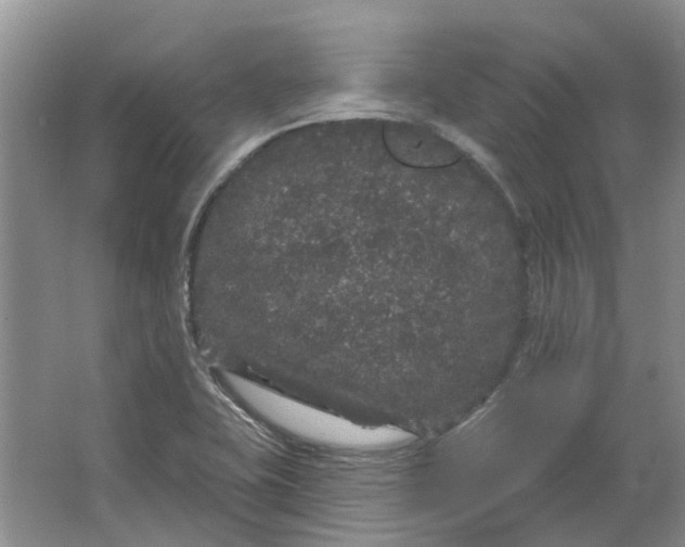 X0000064721415200602241621