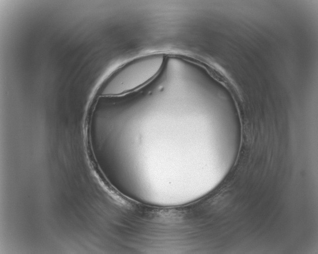 X0000064721416200602241621