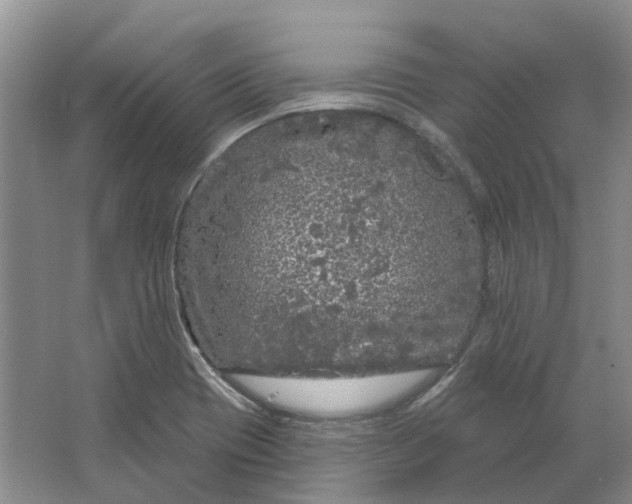 X0000064721417200602241621