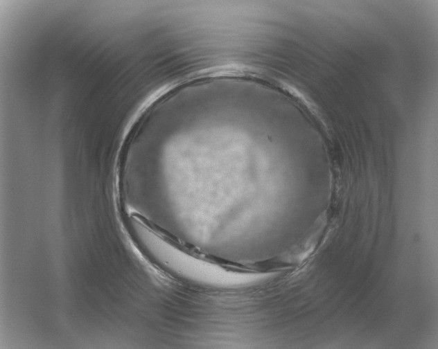 X0000064721418200602241621