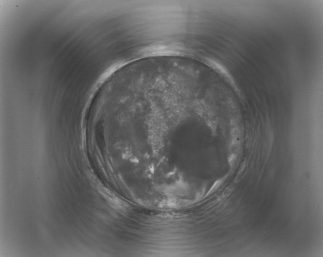 X0000064721419200602241621