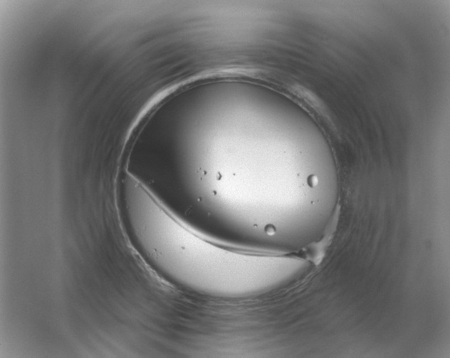 X0000064721420200602241621