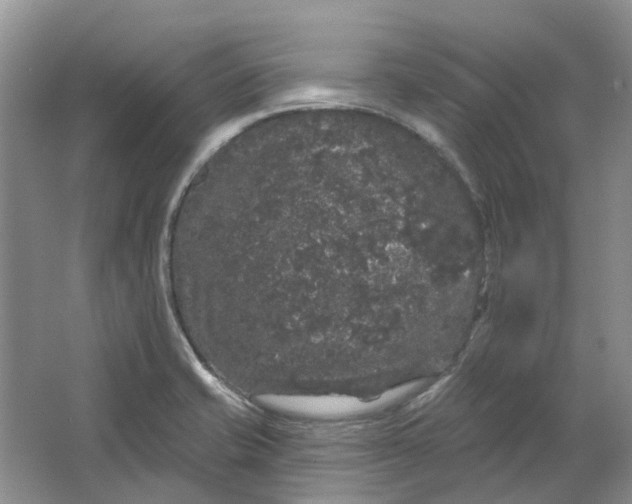 X0000064721421200602241622