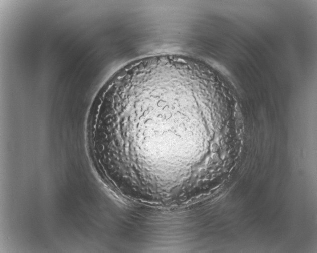 X0000064721423200602241622