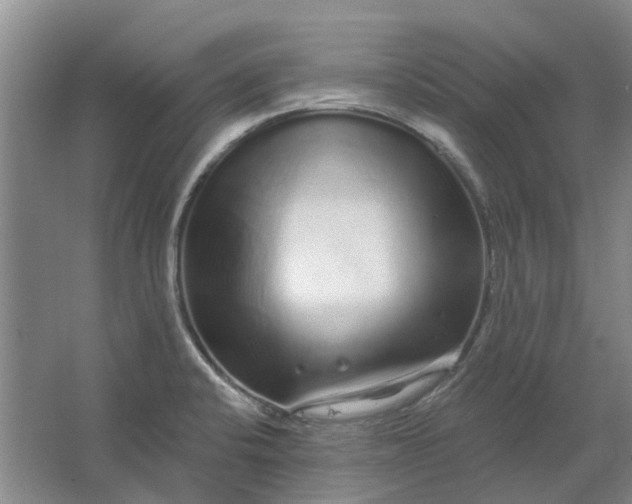 X0000064721424200602241622