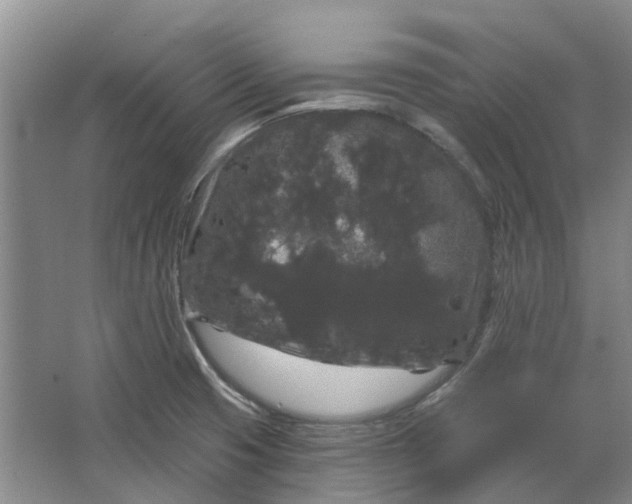 X0000064721425200602241622