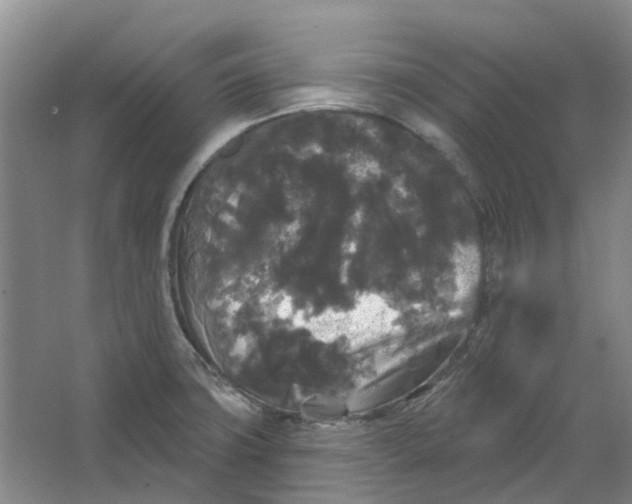 X0000064721427200602241622