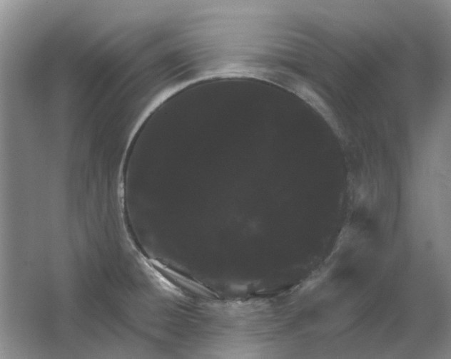 X0000064721428200602241622