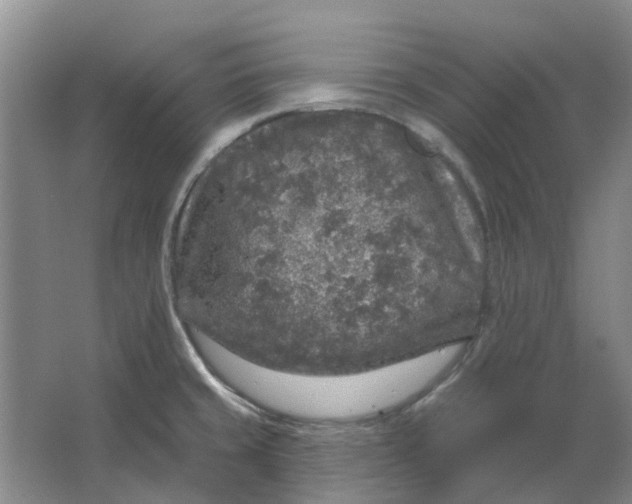 X0000064721429200602241622