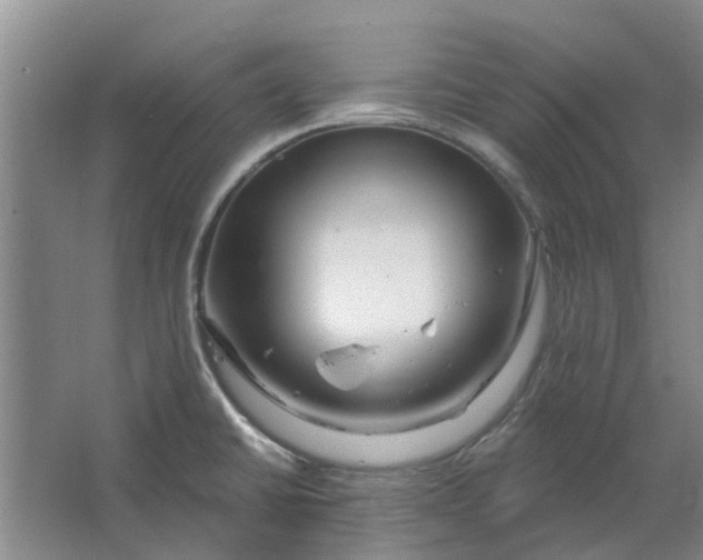 X0000064721430200602241622