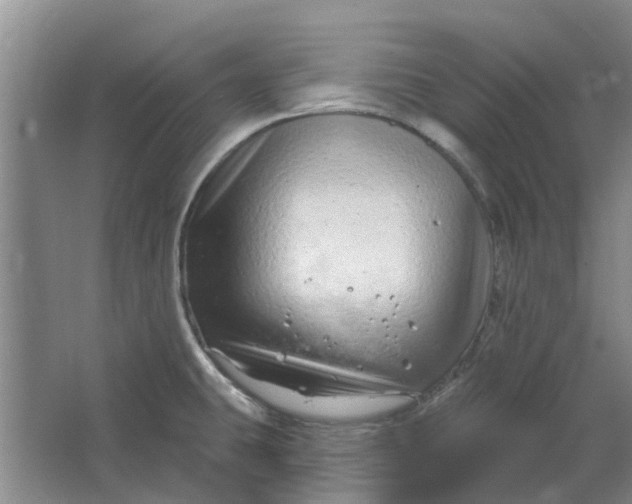 X0000064721431200602241622