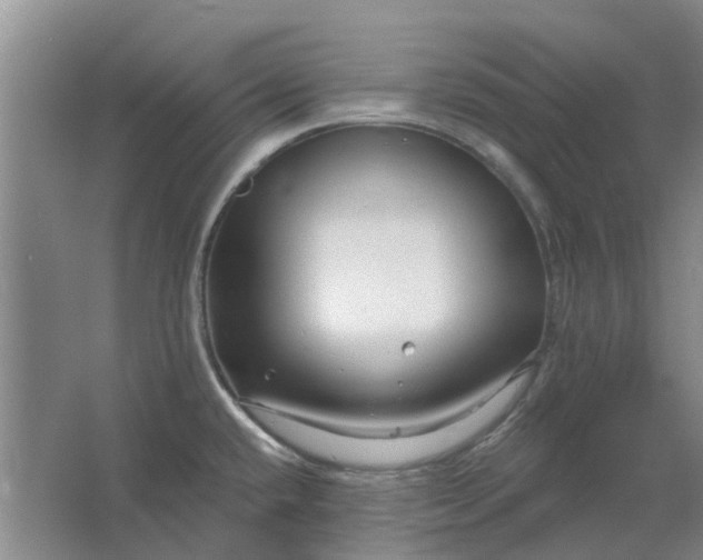 X0000064721432200602241622