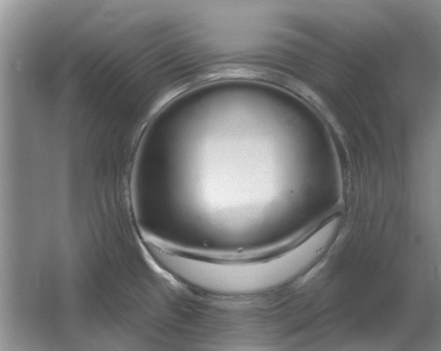 X0000064721433200602241622