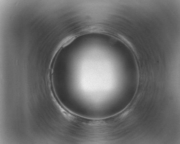 X0000064721434200602241622