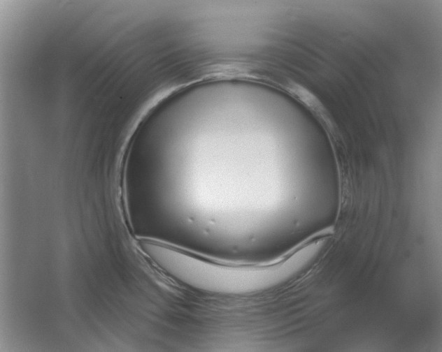 X0000064721435200602241622