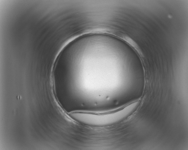 X0000064721436200602241622