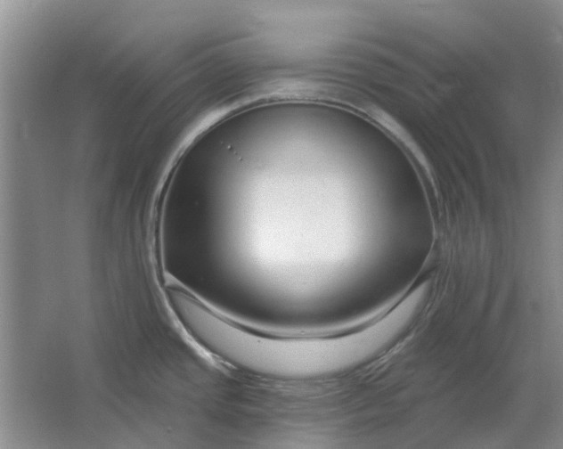 X0000064721437200602241622