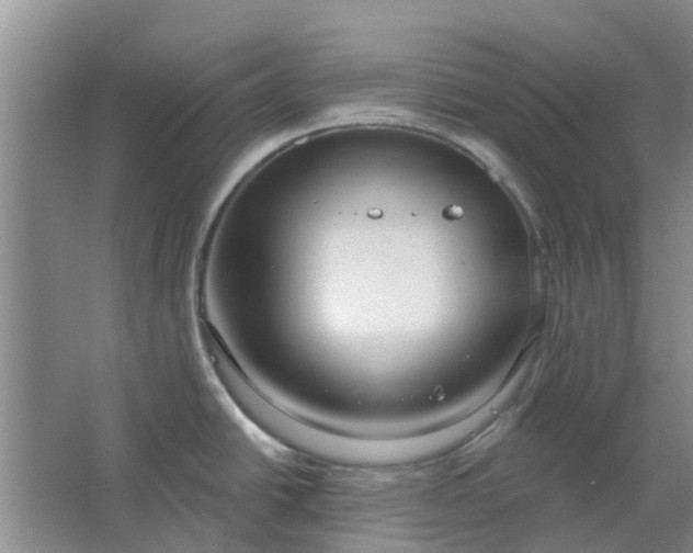 X0000064721438200602241622