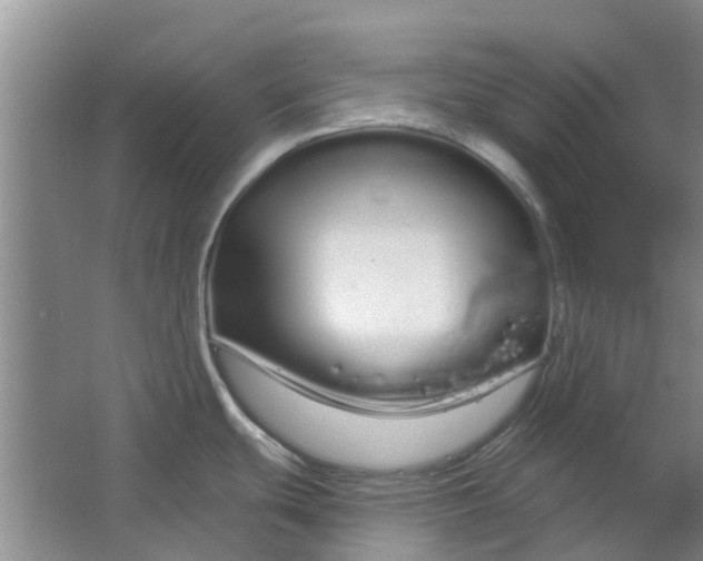 X0000064721439200602241622