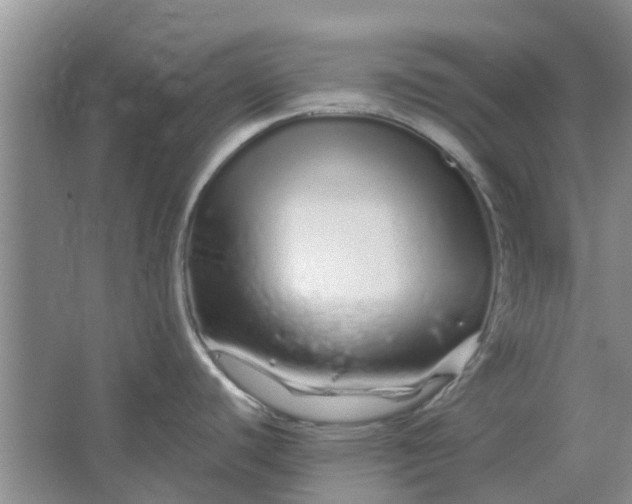 X0000064721440200602241622