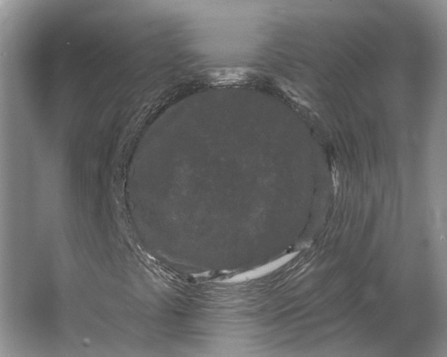 X0000064721441200602241621