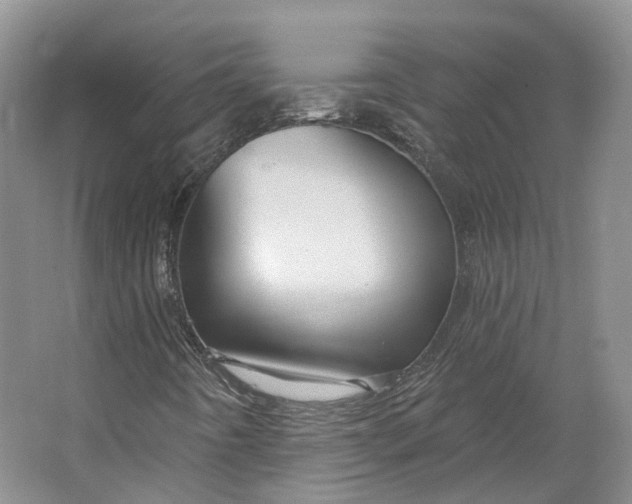 X0000064721442200602241621