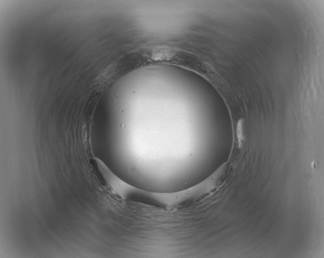 X0000064721443200602241621