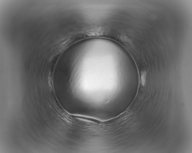 X0000064721444200602241621