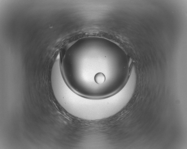 X0000064721445200602241621