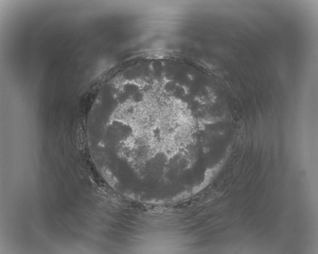 X0000064721446200602241621