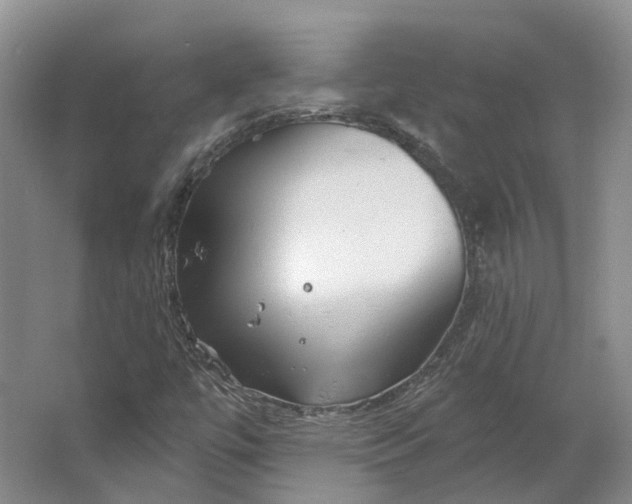 X0000064721447200602241621