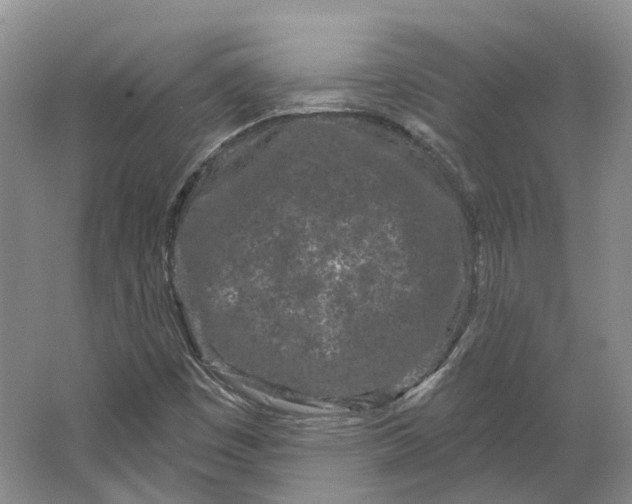 X0000064721449200602241621