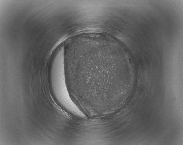 X0000064721450200602241621