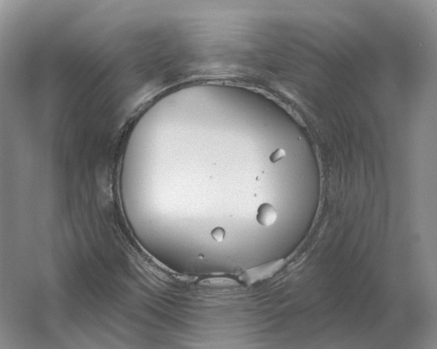 X0000064721451200602241621