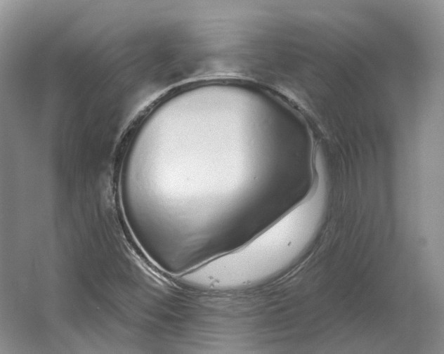 X0000064721452200602241621