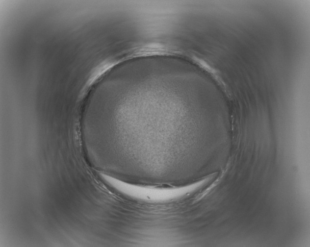 X0000064721453200602241620