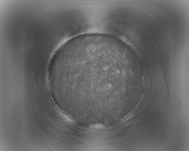 X0000064721454200602241620