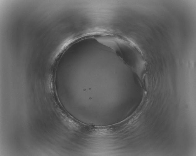 X0000064721455200602241620