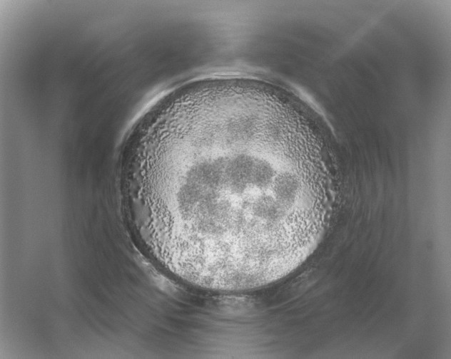 X0000064721456200602241620