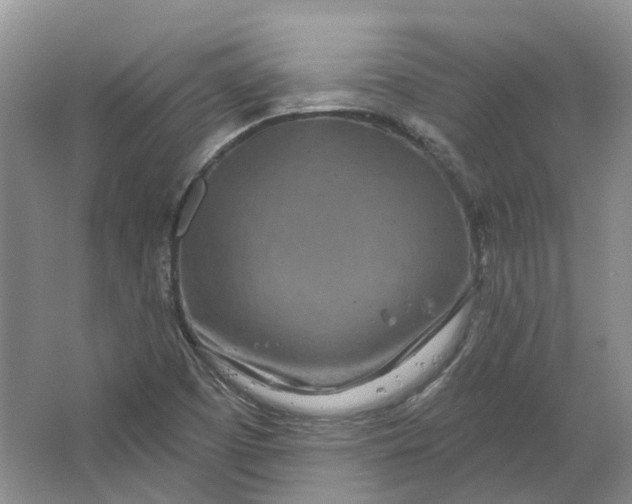 X0000064721457200602241620