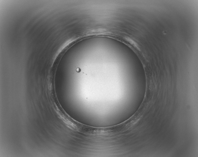 X0000064721458200602241620