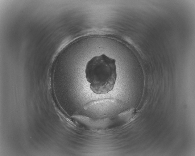 X0000064721459200602241620