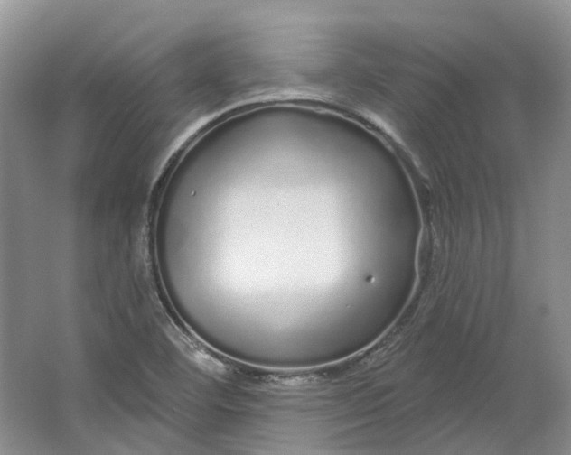 X0000064721460200602241620